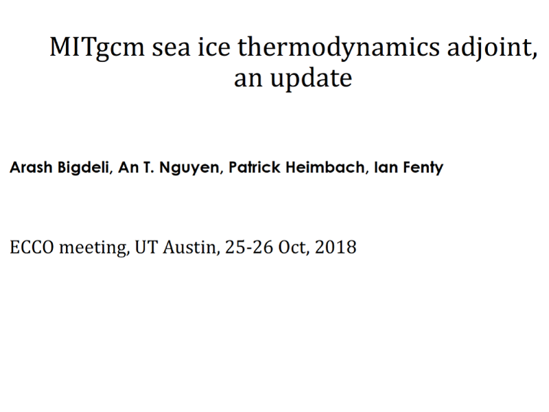 Presentation title page: MITgcm Sea Ice Thermodynamics Adjoint, an Update