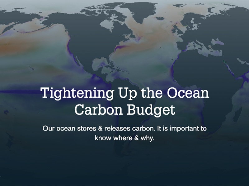Tightening Up the Ocean Carbon Budget