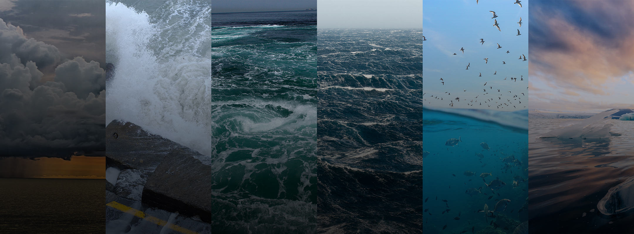Panels of ocean images